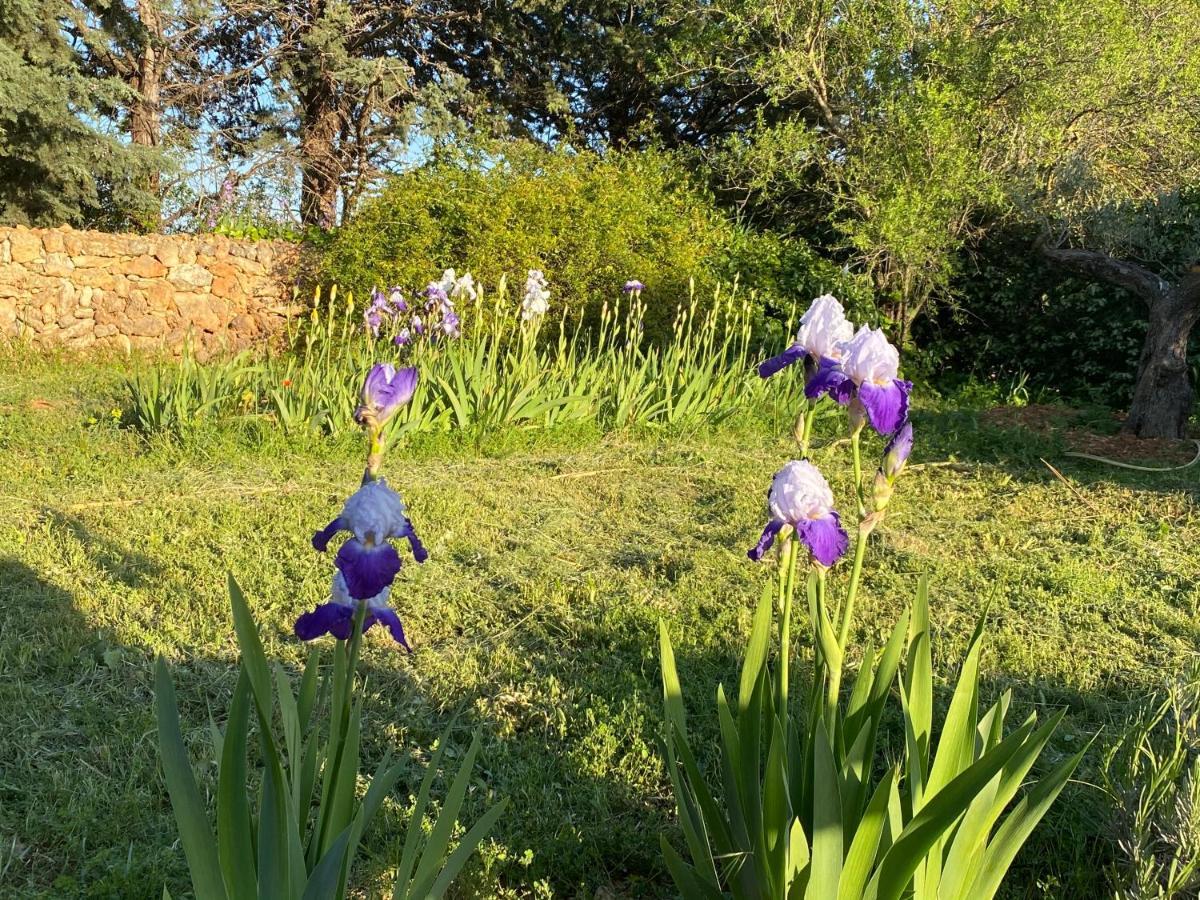 Villa Faro Provence Var Montfort-sur-Argens Екстериор снимка